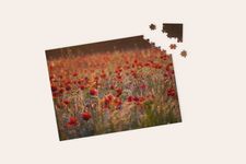 Red Poppy Field Puzzle