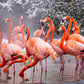 American Flamingos Puzzle