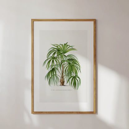 Palm Tree No. 1 Digital Print Poster