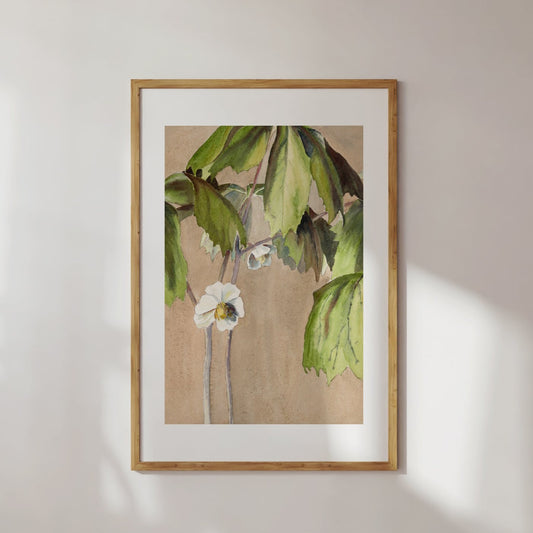 Botanical Hand Painted Vintage Poster