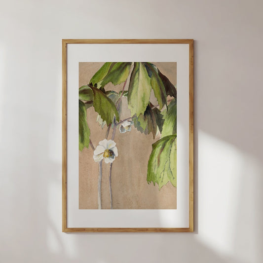 Botanical Hand Painted Vintage Poster Digital Print