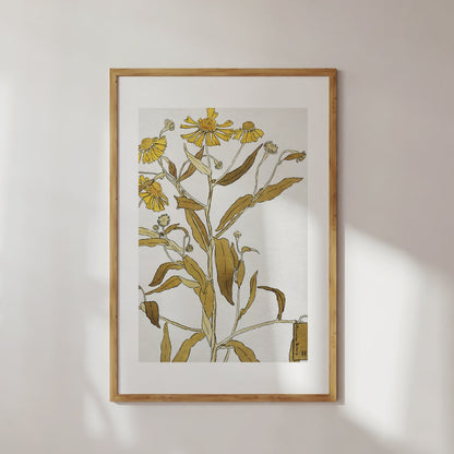 Botanical Weeds Poster Digital Print