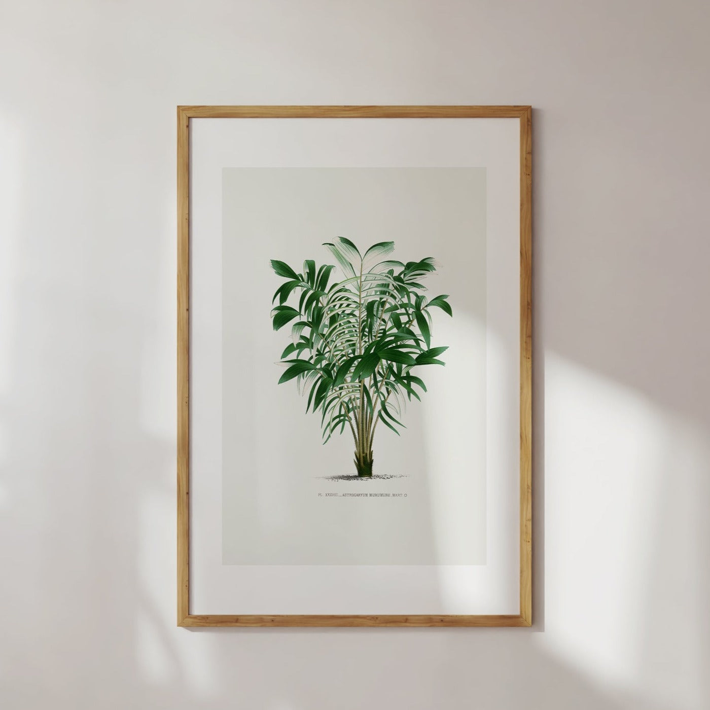 Vintage Palm Tree No. 4 Wall Art Poster