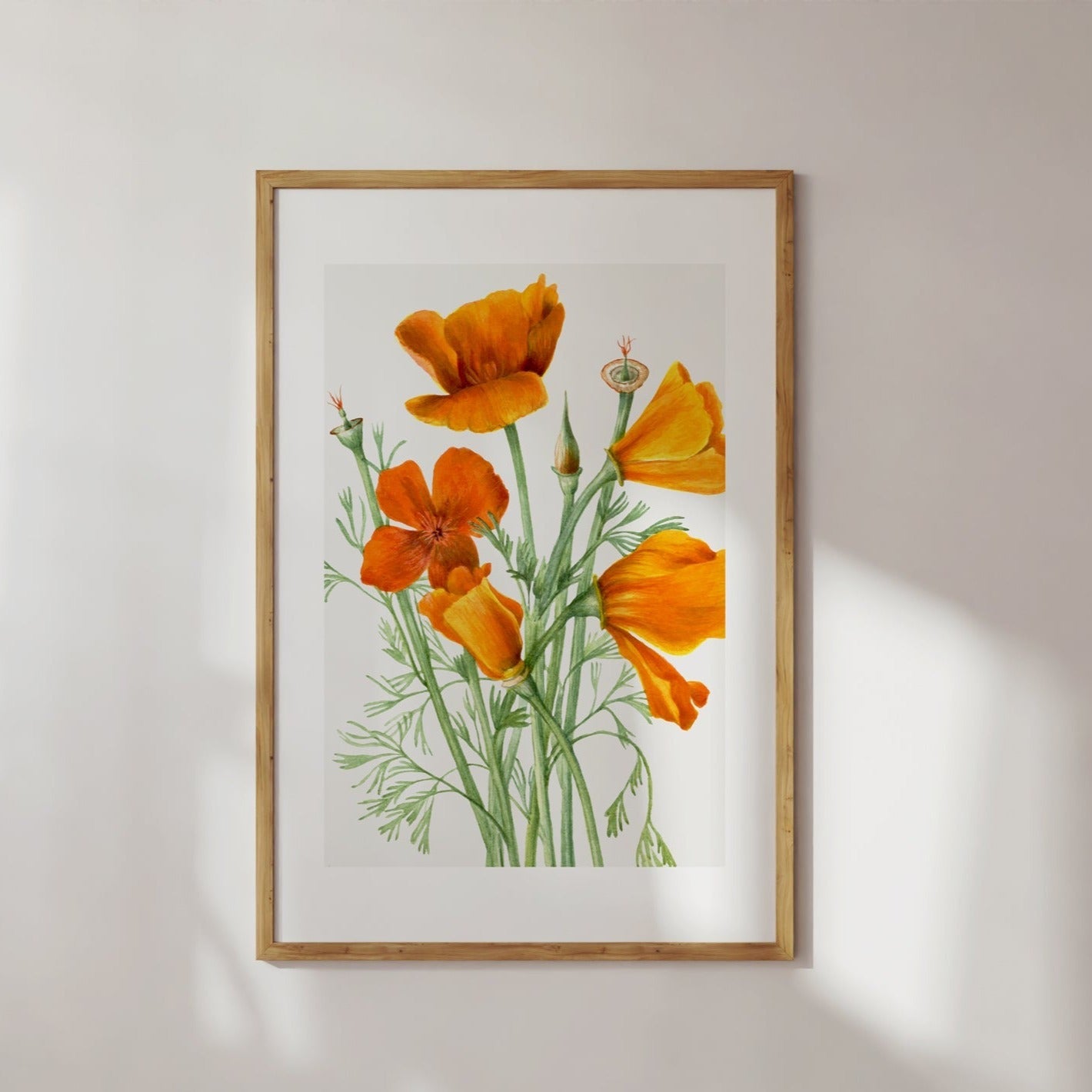 California Poppies Poster Digital Print