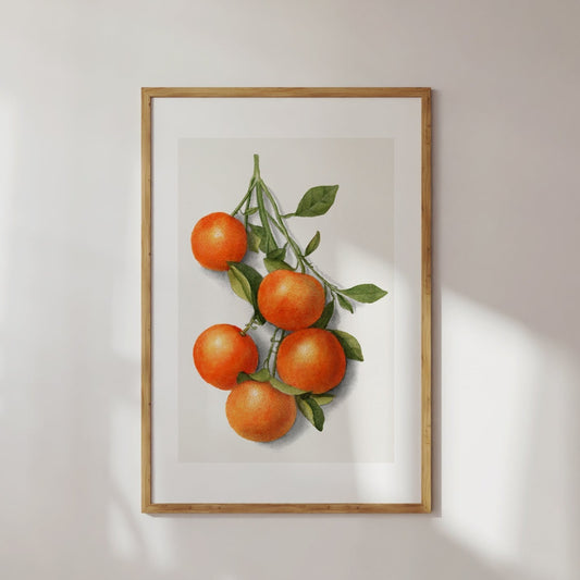 Vintage Oranges Watercolor Poster Digital Print