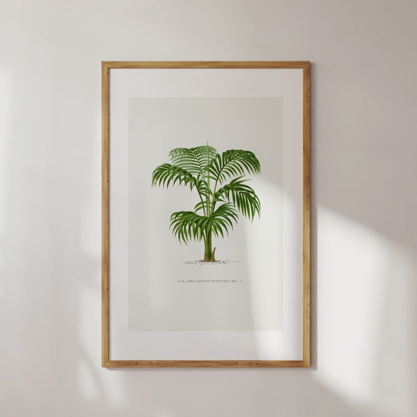 Vintage Palm Tree No. 3 Wall Art Poster