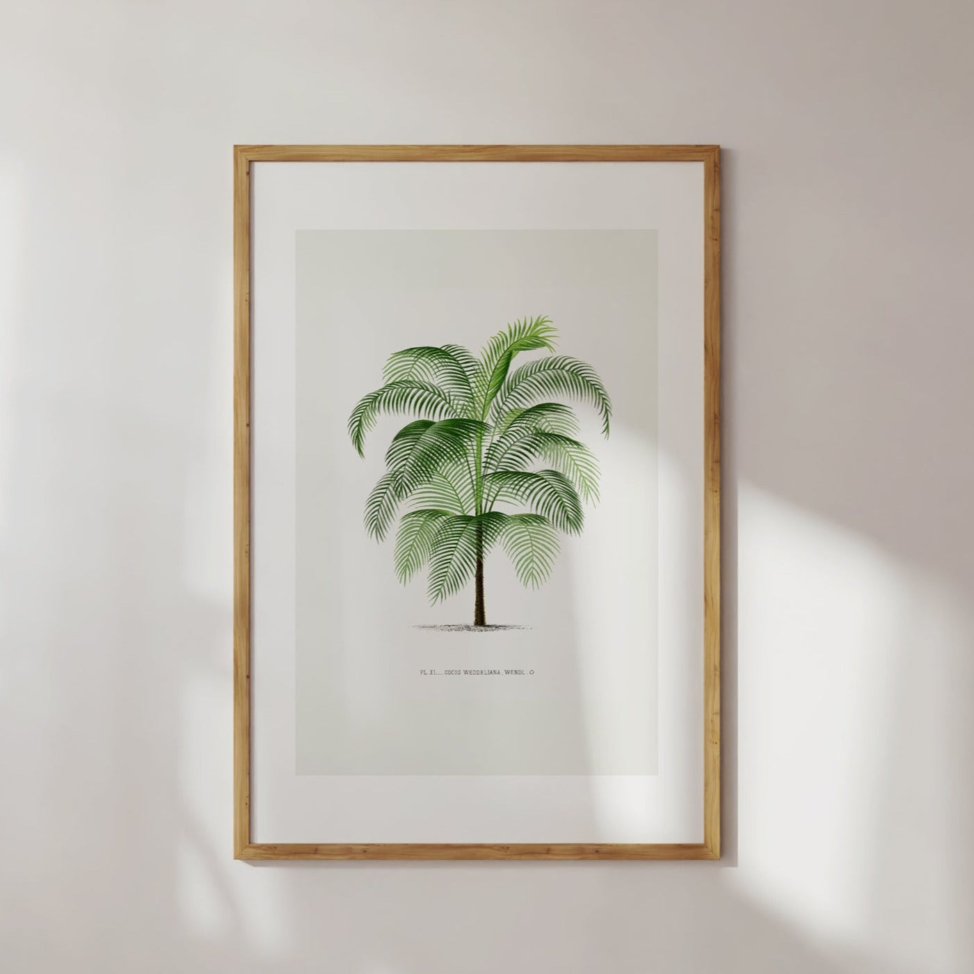 Vintage Palm Tree No. 5 Wall Art Poster