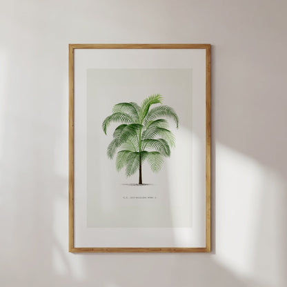 Vintage Palm Tree No. 5 Digital Pint Poster