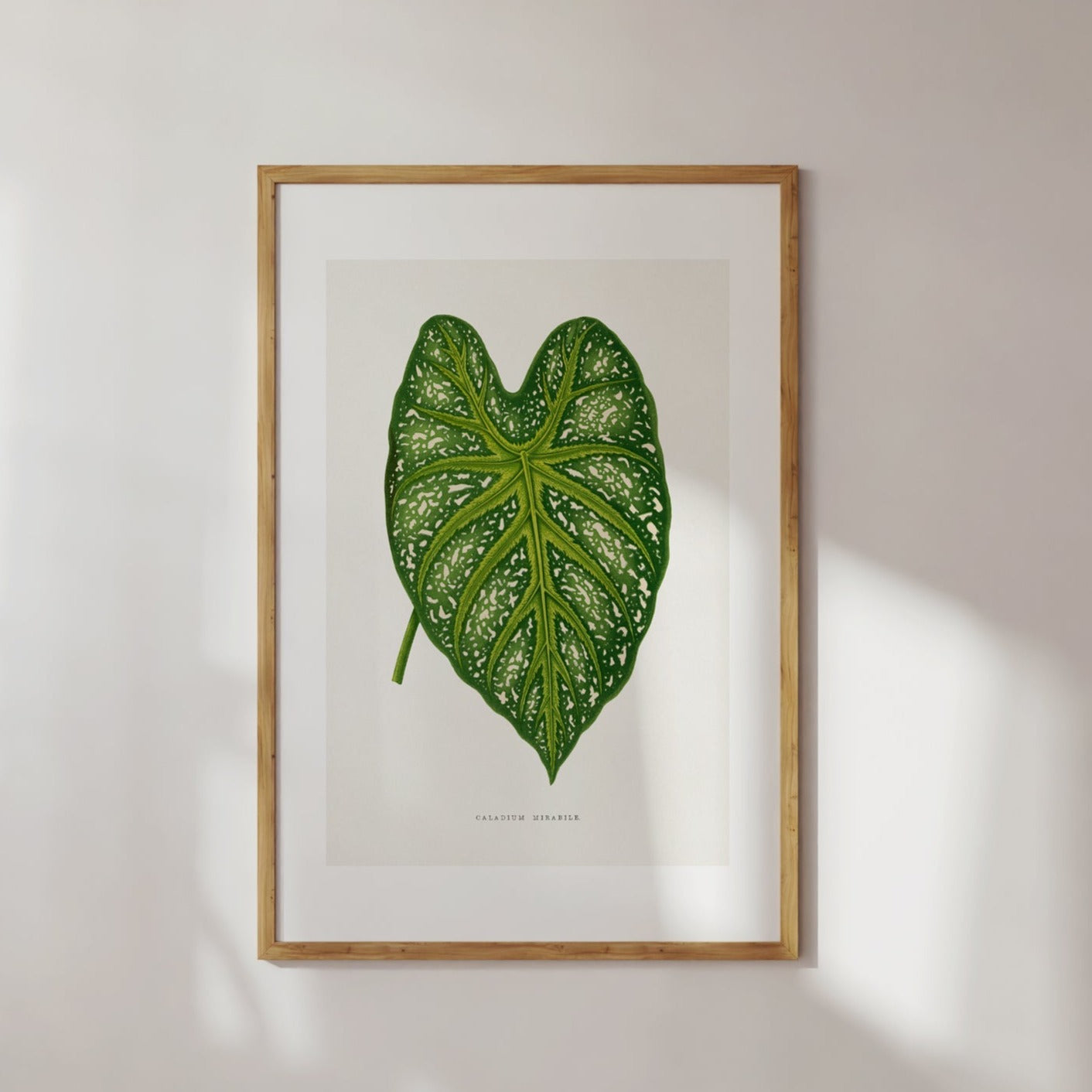 Green Leaf IllustrationPoster Digital Print