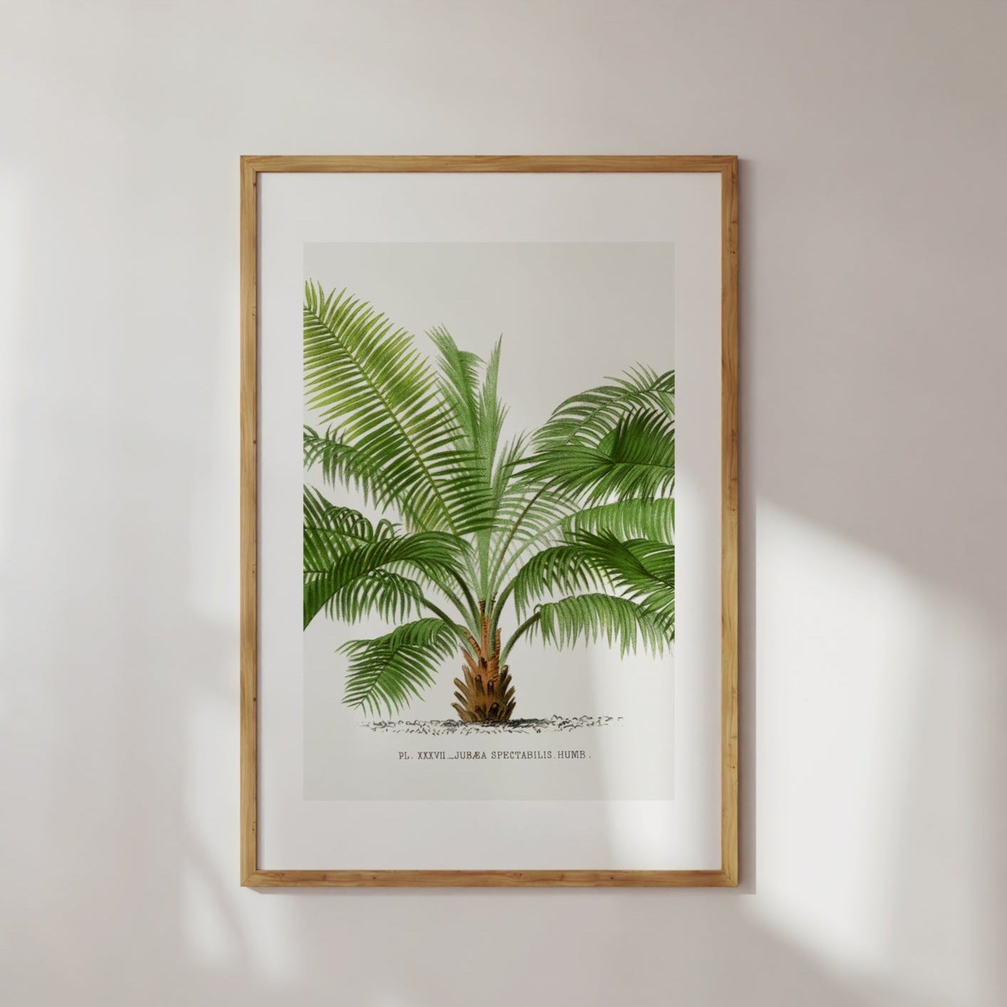 Vintage Palm Tree Drawing No. 7 Digital Art