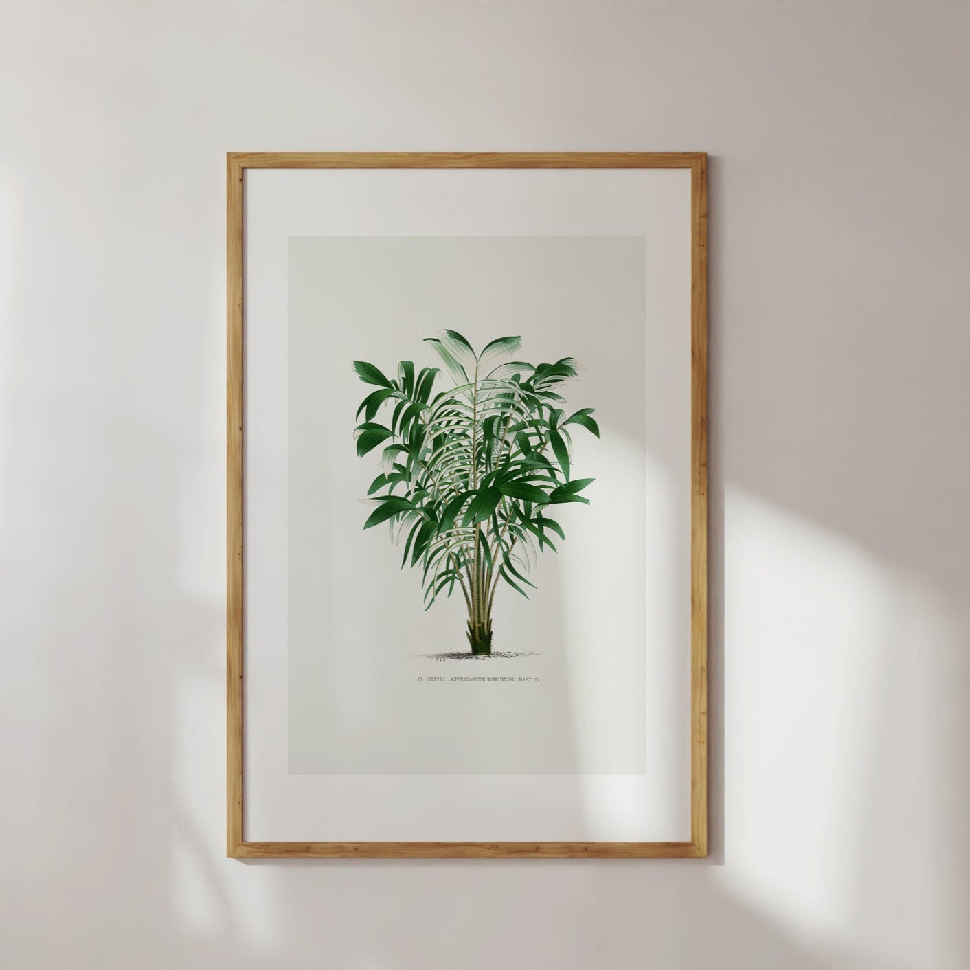 Vintage Palm Tree No. 4 Digital Print Poster