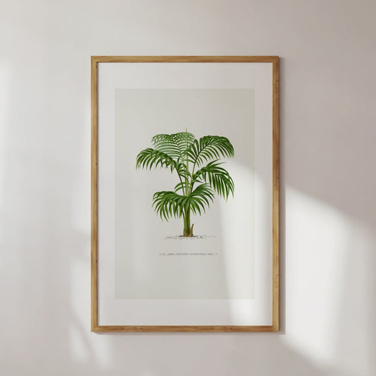 Vintage Palm Tree No. 3 Digital Print Poster