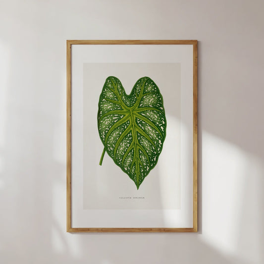 Green Leaf Illustration Poster