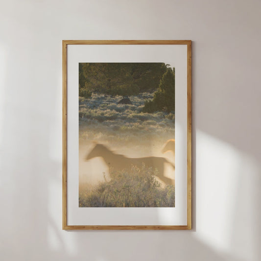 Horses Running Poster