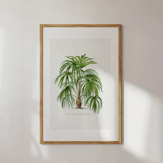 Palm Tree No. 1 Poster