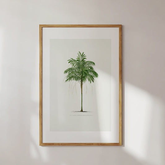 Palm Tree No. 2 Poster