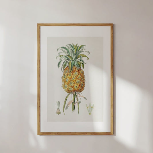 Hand Drawn Pineapple Poster Digital Print