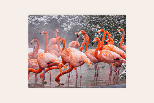 American Flamingos Puzzle