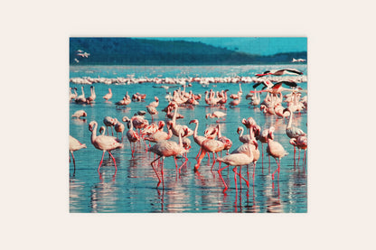 Flamingos in Water Puzzle