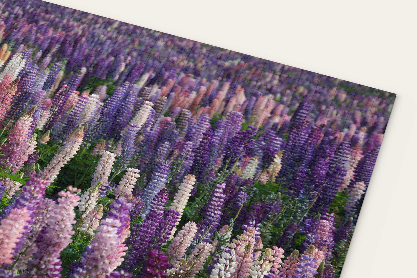 Field Of Lupine Flowers Puzzle