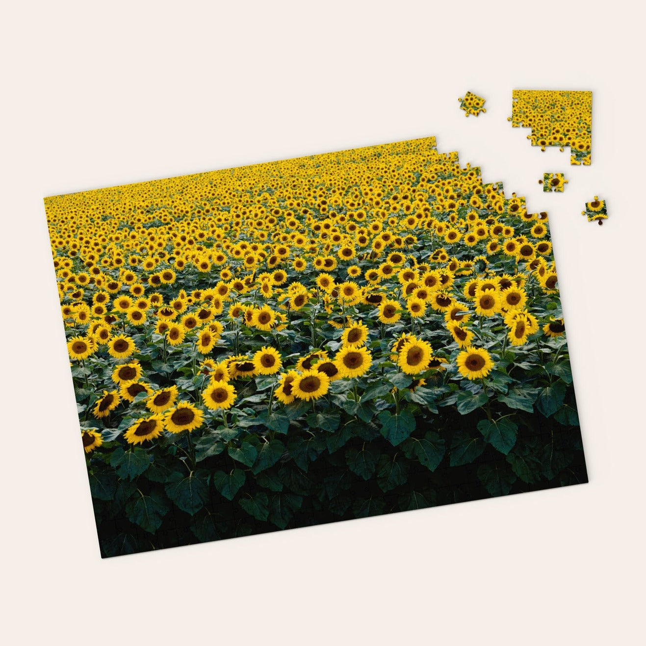 Sunflower Field Puzzle