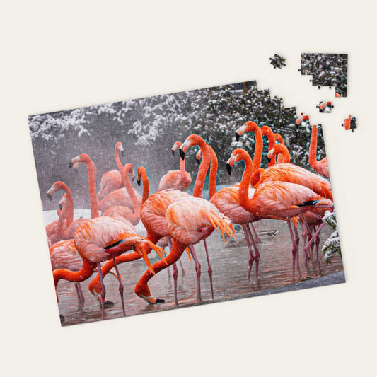 American Flamingos Puzzle