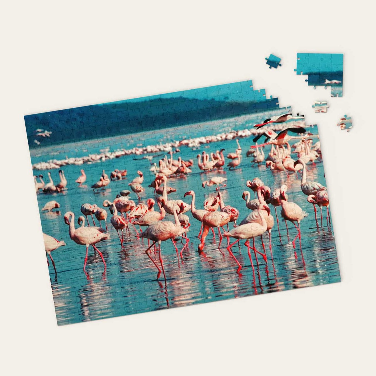 Flamingos in Water Puzzle