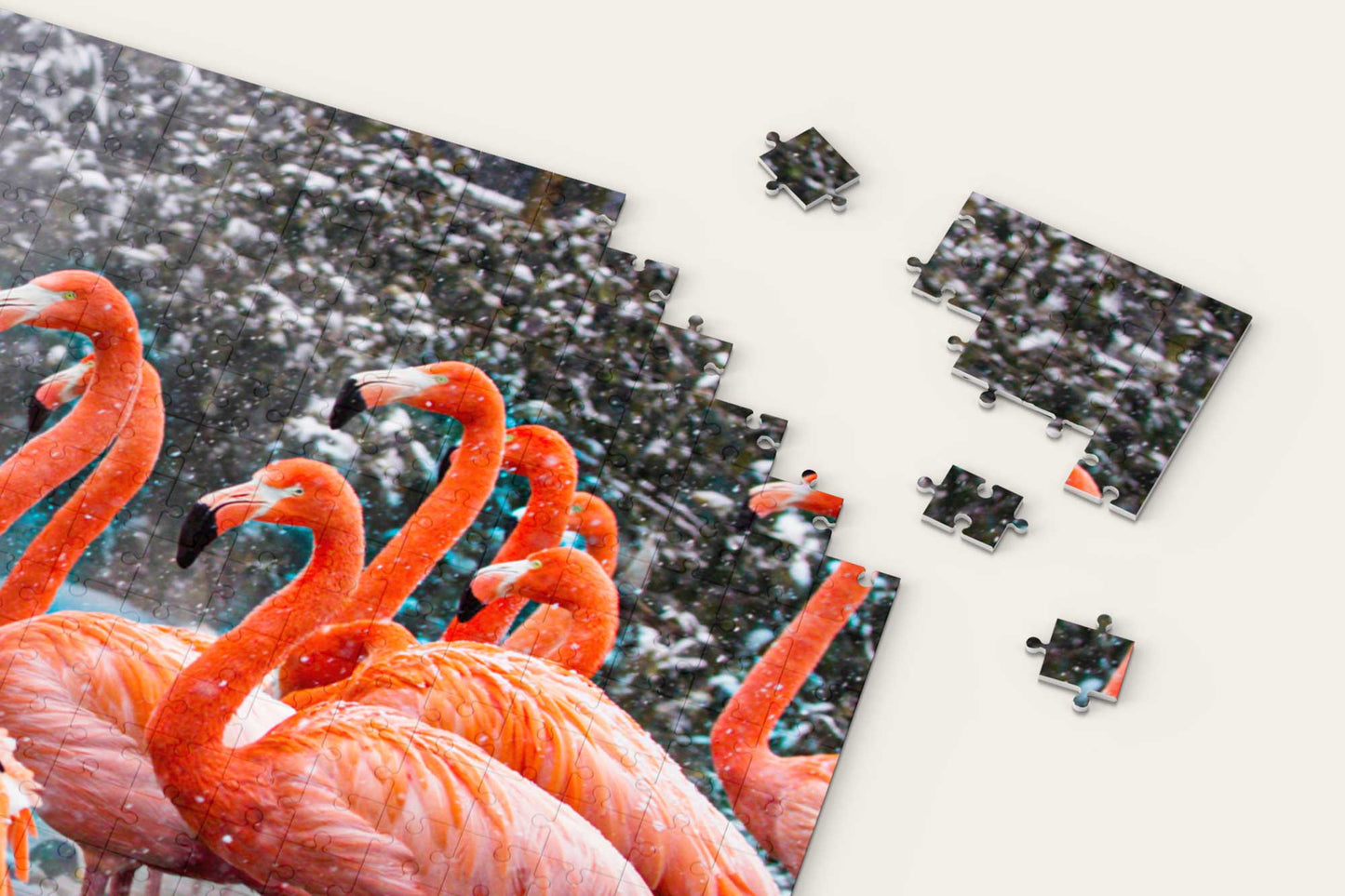 American Flamingos Puzzle