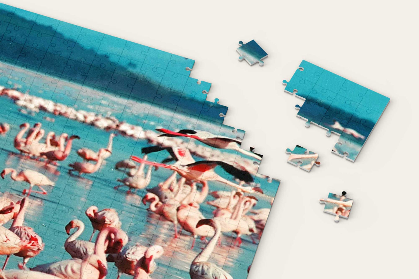 Flamingos in Water Puzzle