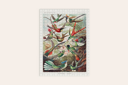 Birds Illustration Puzzle