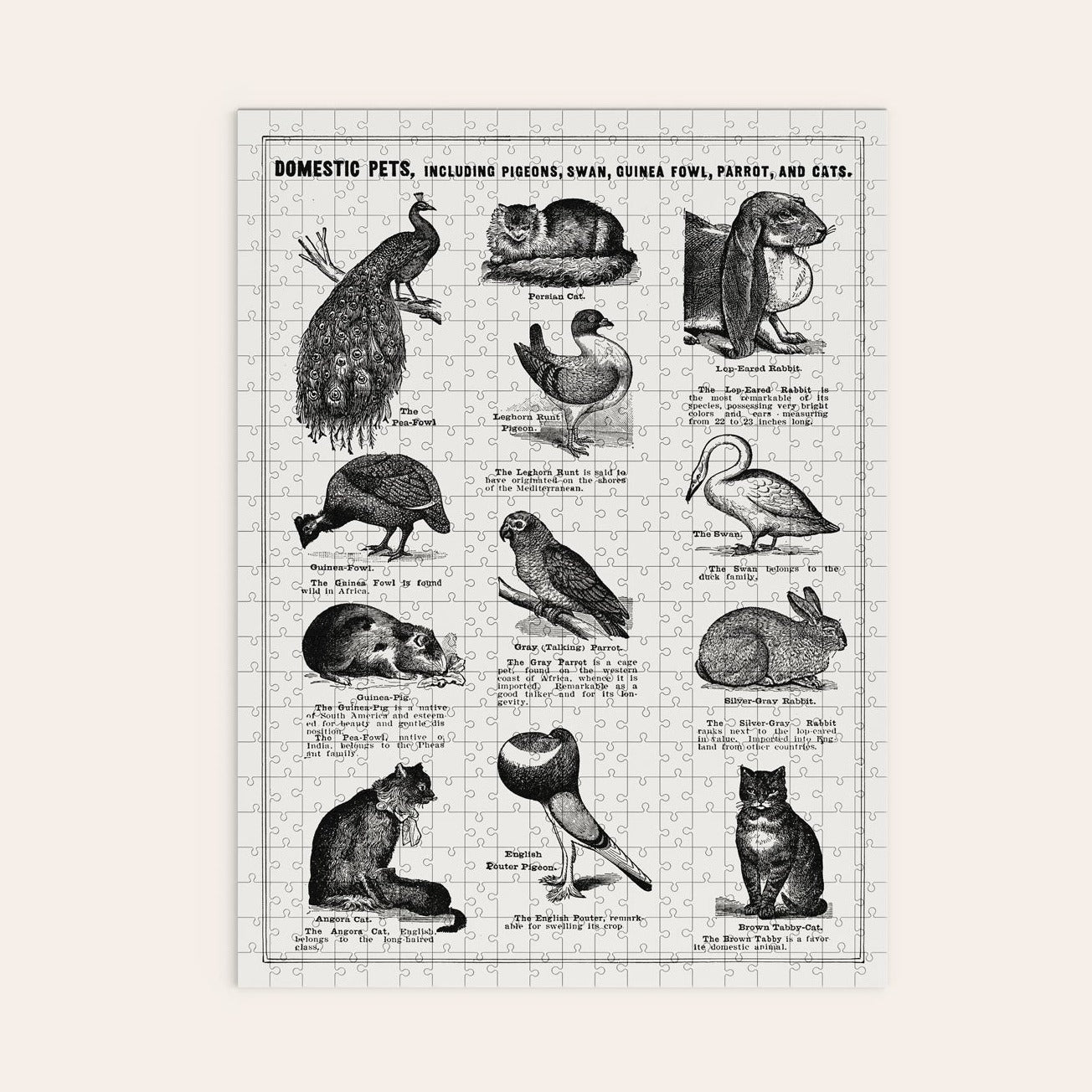 "Bird Breeds Poster" Artwork Puzzle