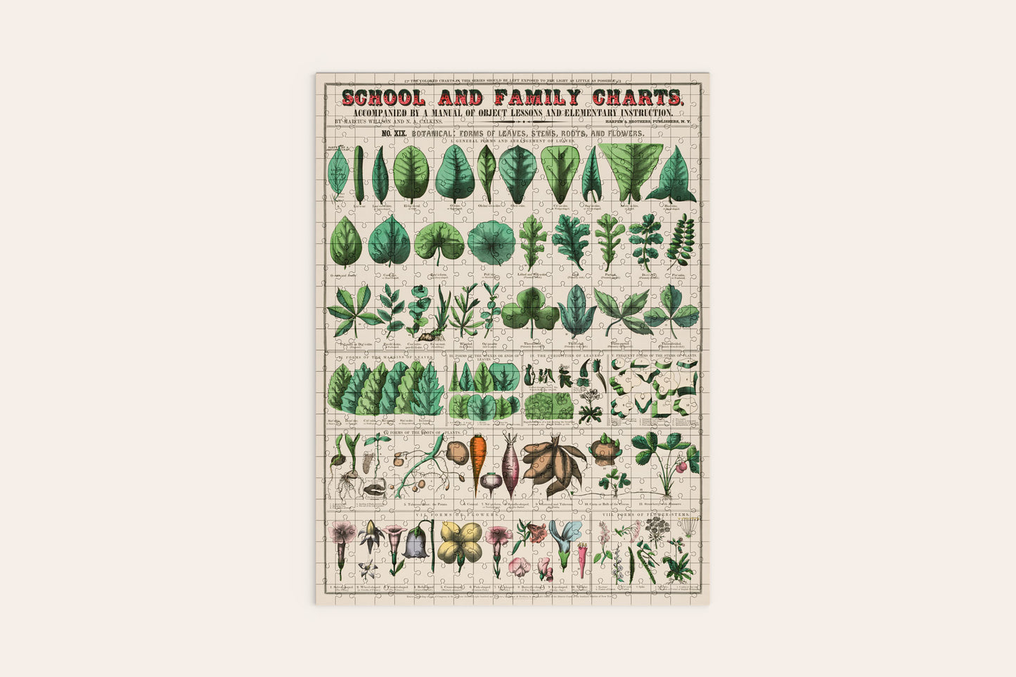 Botanical Plant Puzzle