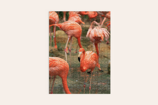 Flamingo Close Up Puzzle