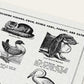 "Bird Breeds Poster" Artwork Puzzle