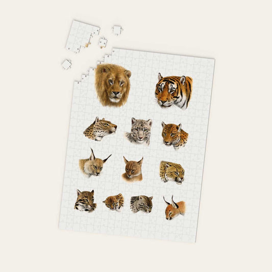 Big Cats Safari Puzzle