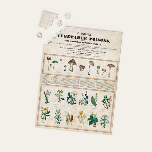 Poisonous Mushrooms Irritating Poisons Poster Puzzle