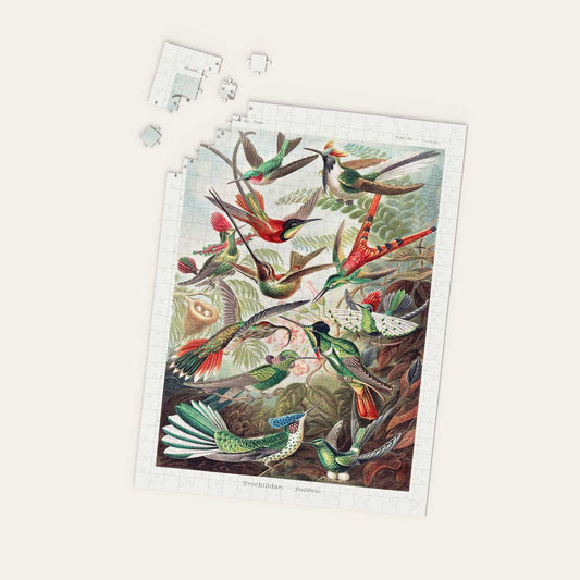 Birds Illustration Puzzle