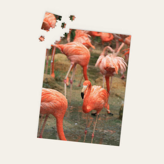 Flamingo Close Up Puzzle