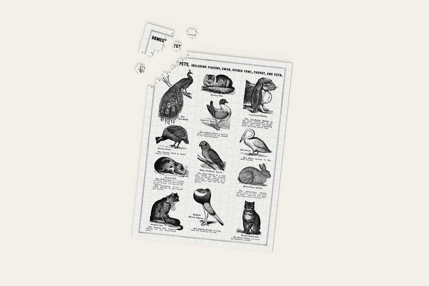 "Bird Breeds Poster" Artwork Puzzle